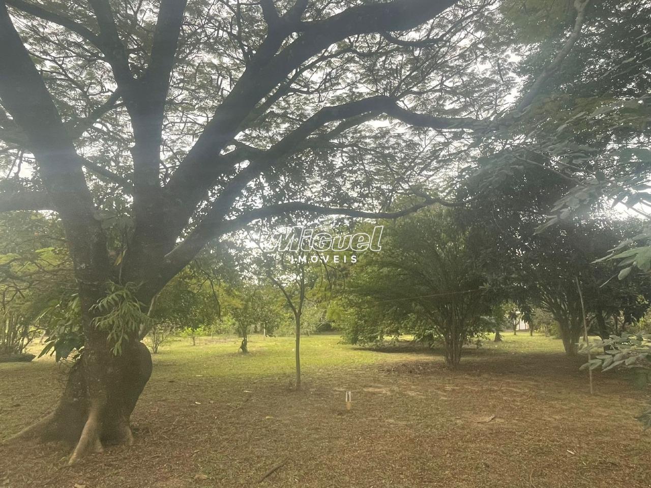 Chácara, à venda, Jardim Primavera - 4 quartos - São Pedro/SP: 