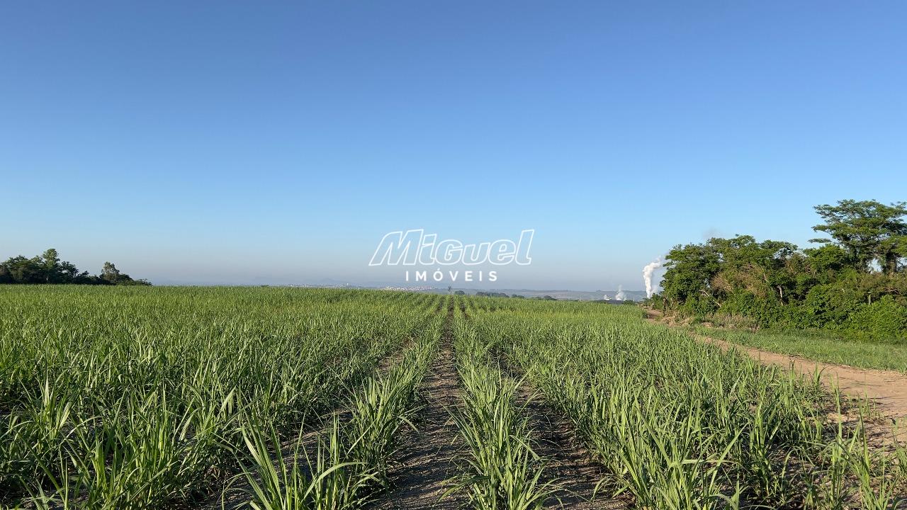 Área, à venda, Campestre - - Piracicaba/SP: 