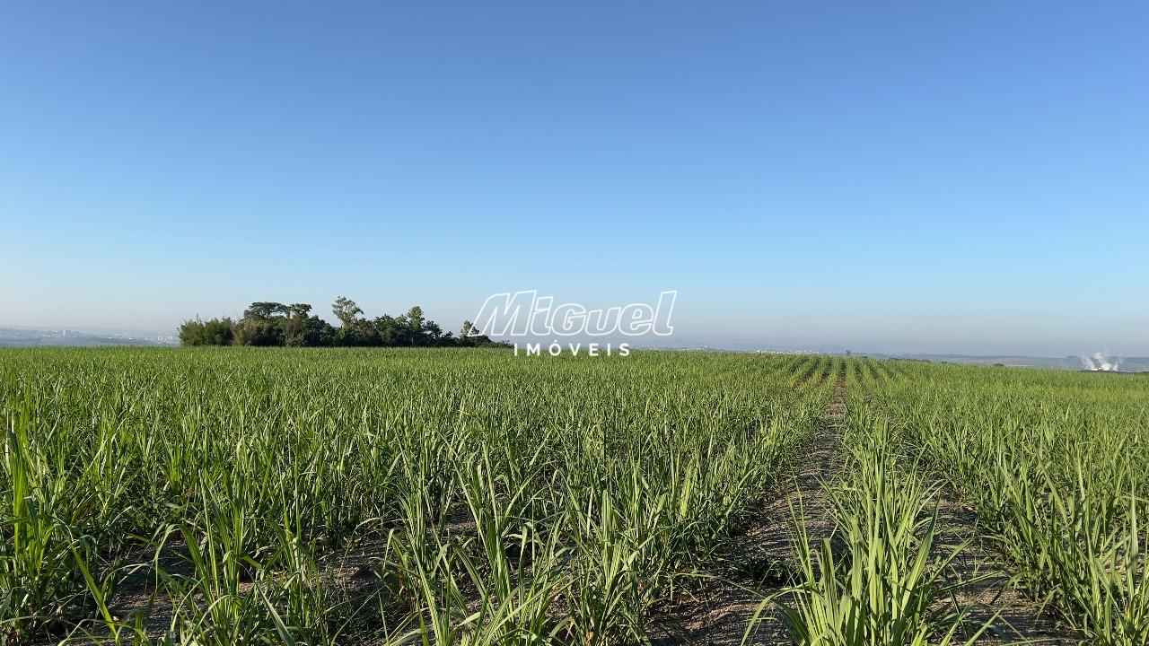 Área, à venda, Campestre - - Piracicaba/SP: 