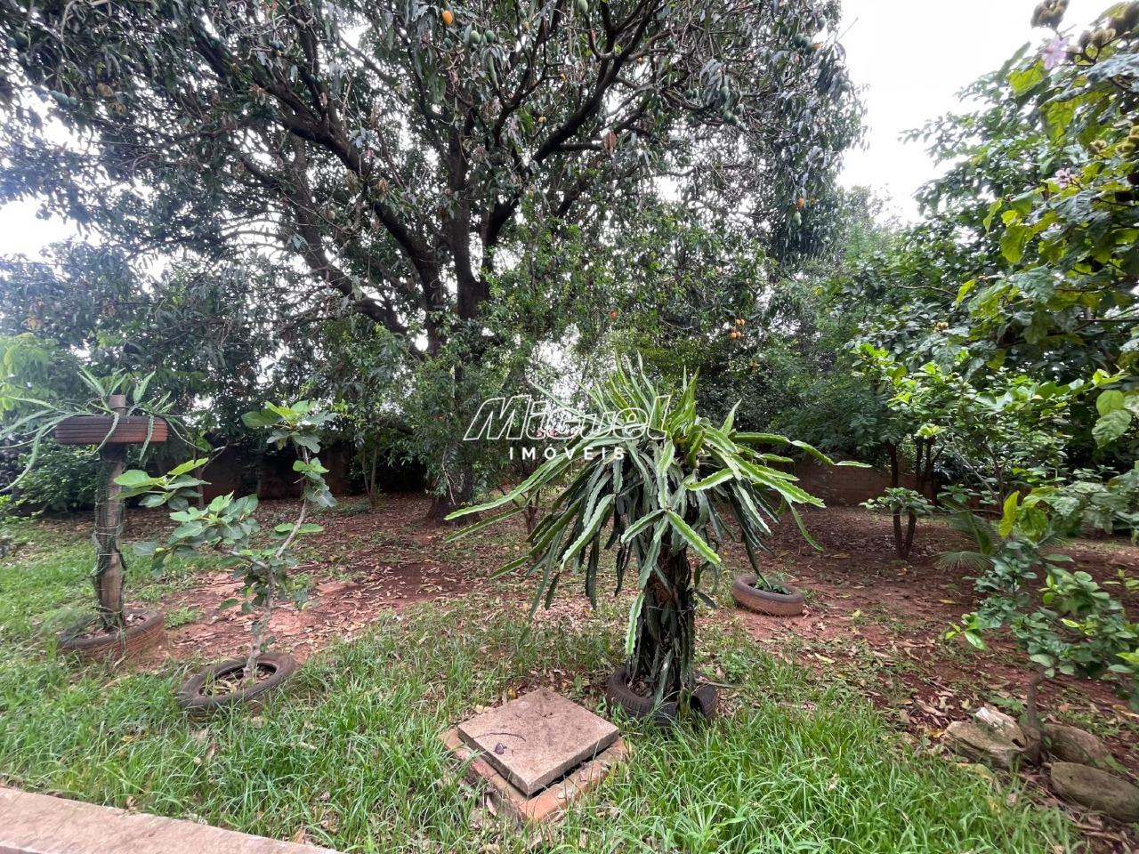 Chácara, à venda, Campestre - Piracicaba 5 quartos : 