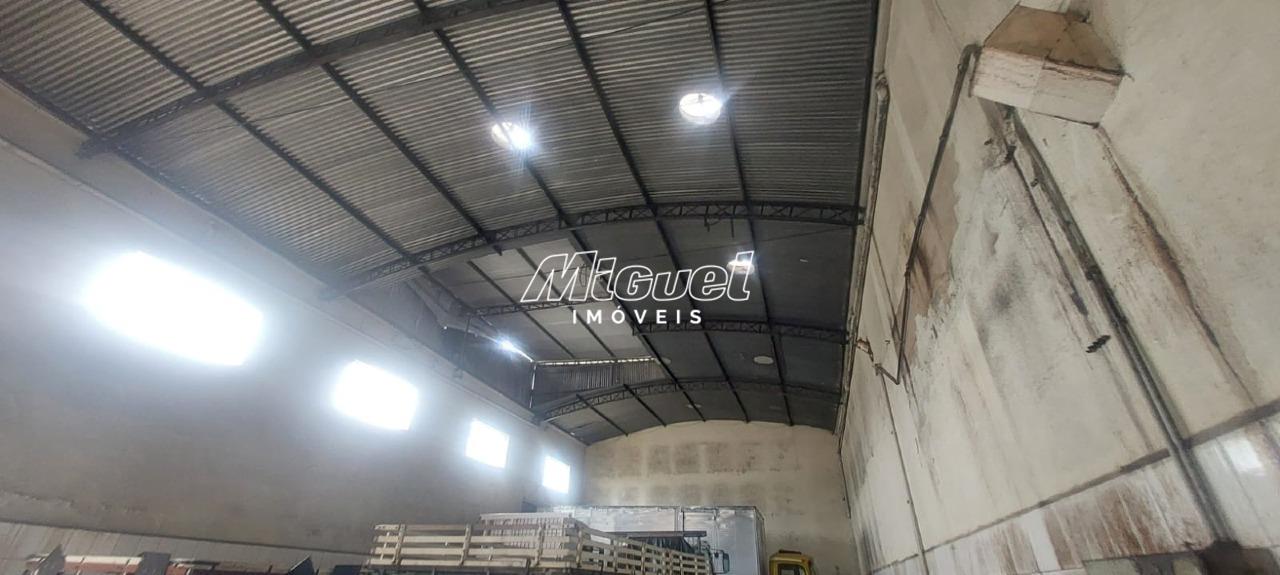 Galpão, para aluguel, Nova Pompeia - - Piracicaba/SP: 