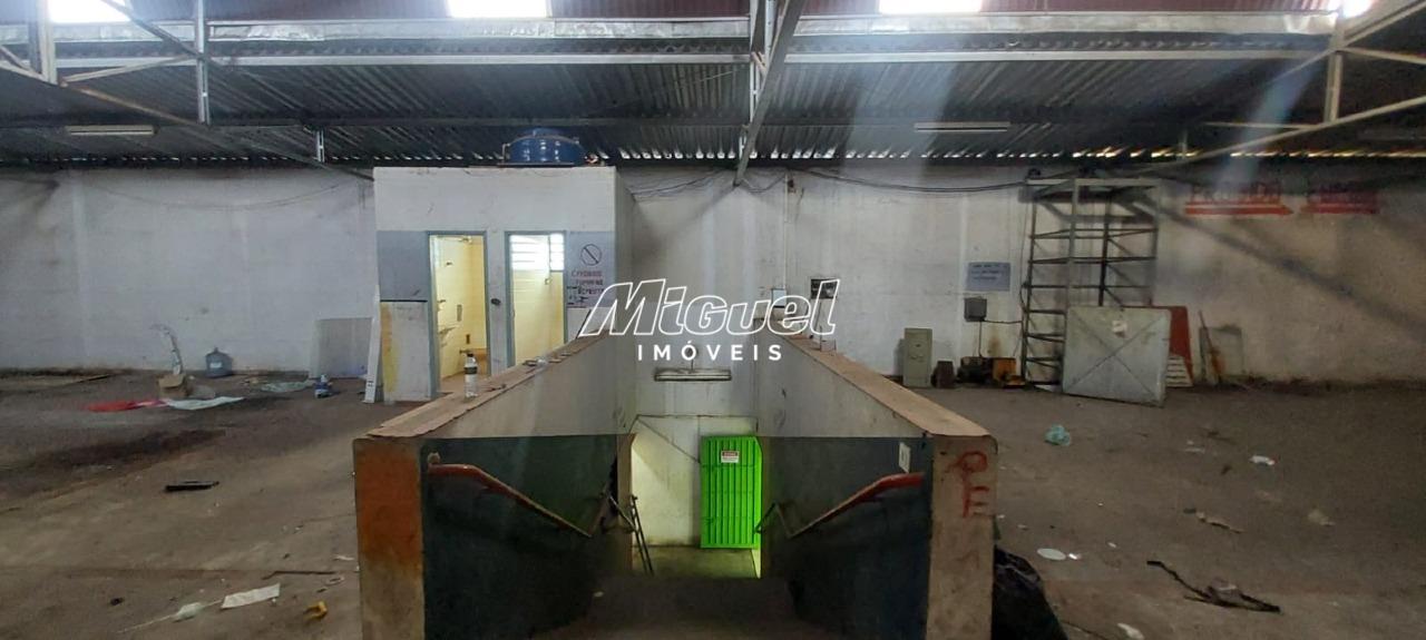 Salão Comercial, para aluguel, Centro - - Piracicaba/SP: 