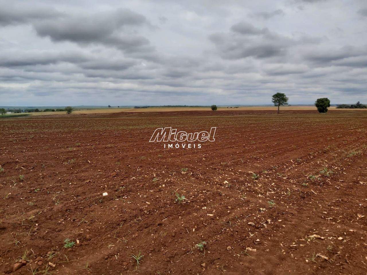 Área, à venda, Parque dos Pinheiros - - Nova Odessa/SP: 