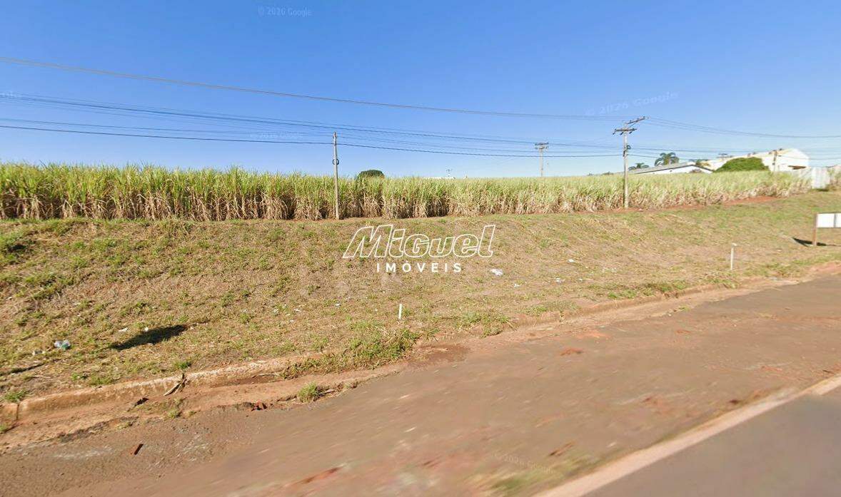 Área, para aluguel, Conceição - - Piracicaba/SP: 