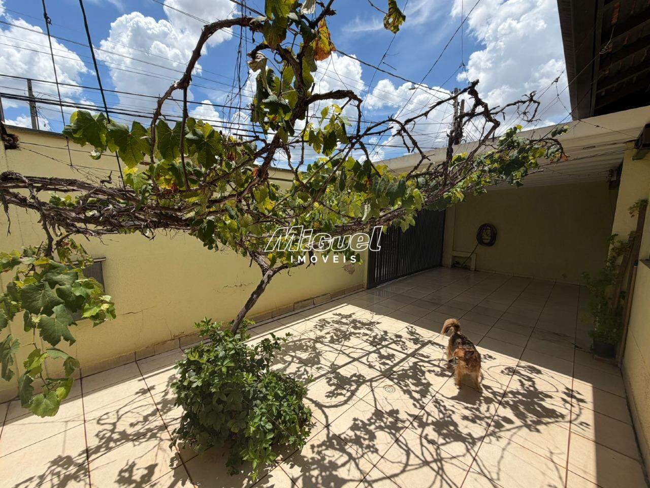 Casa, à venda, Vila Industrial - 3 quartos - Piracicaba/SP: 