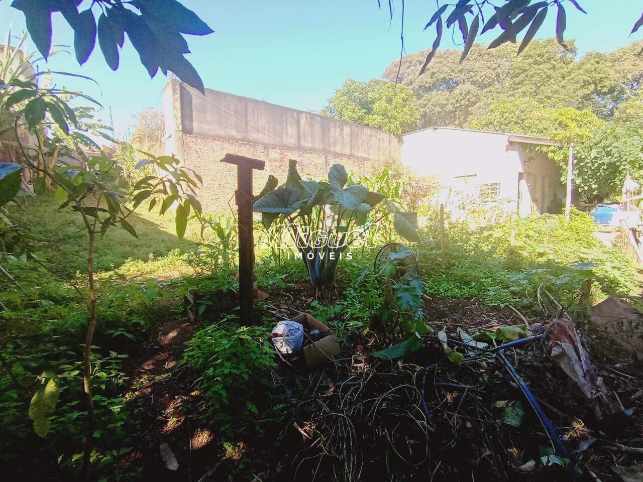 Área, à venda, Jupiá - 3 quartos - Piracicaba/SP: