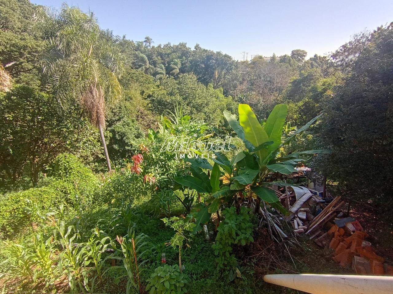 Área, à venda, Jupiá - 3 quartos - Piracicaba/SP: