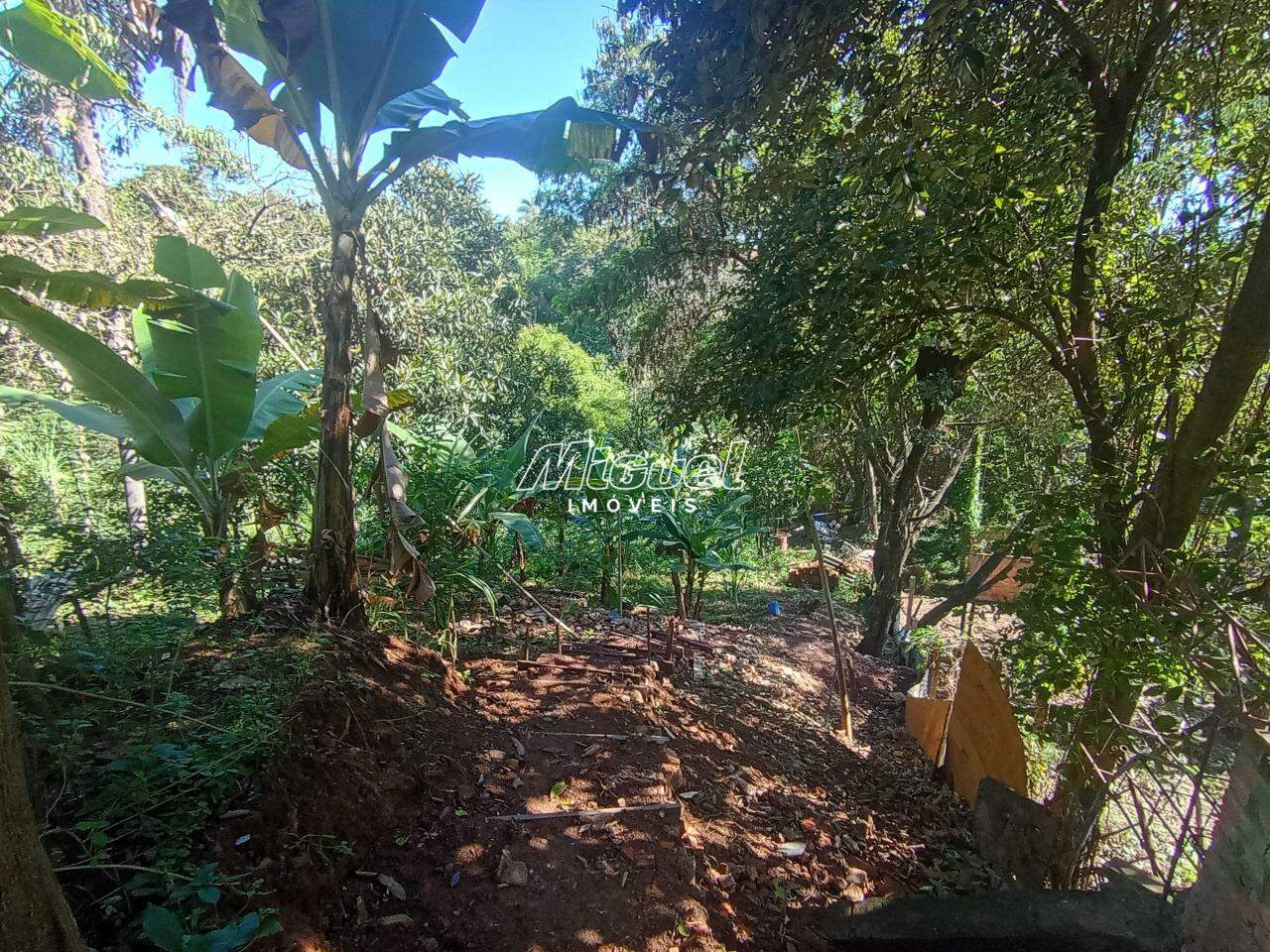 Área, à venda, Jupiá - 3 quartos - Piracicaba/SP: