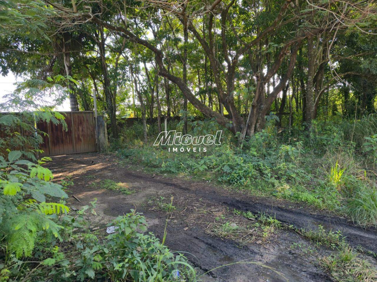 Área, à venda, Jardim São Jorge - - Piracicaba/SP: 