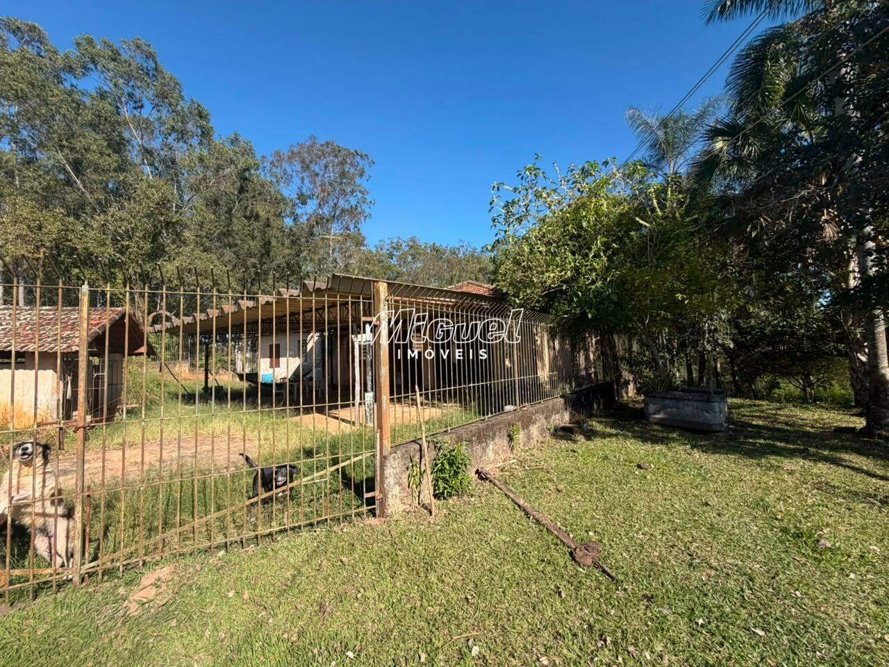 Sítio, para aluguel, Serrote - 3 quartos - Piracicaba/SP: 