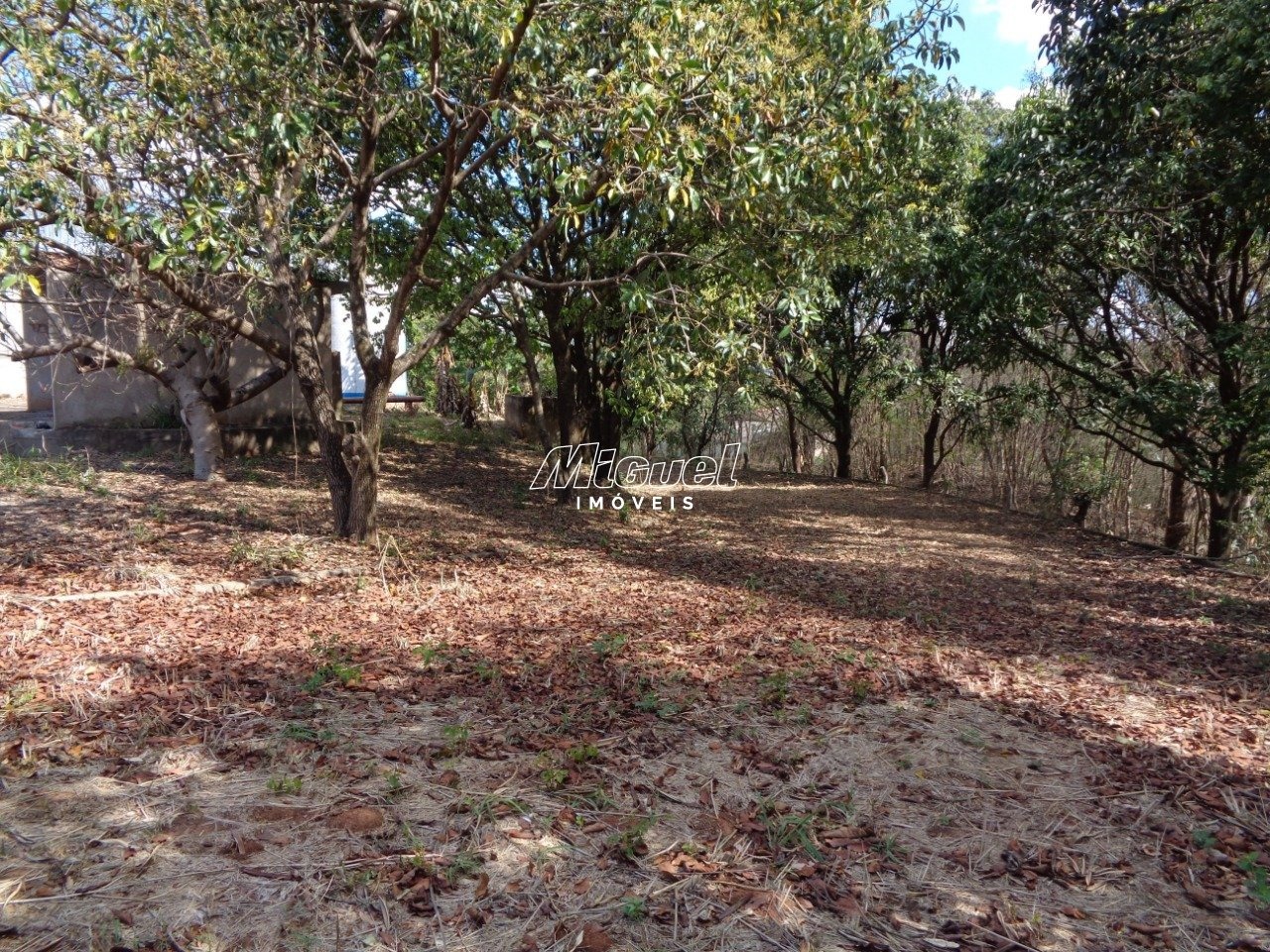 Área Comercial, para aluguel, Campestre - - Piracicaba/SP: 