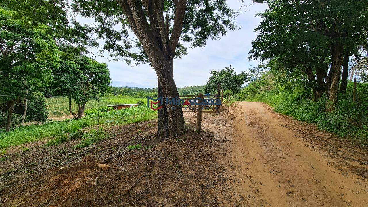 Chácara à venda com 2 quartos, 150m² - Foto 3