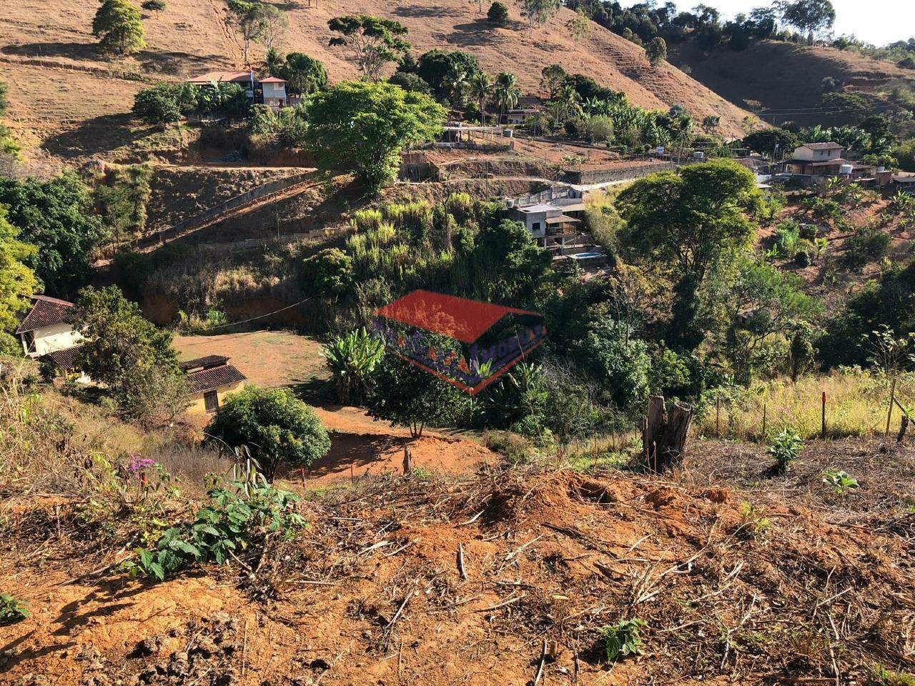 Chácara à venda com 1 quarto, 1000m² - Foto 10