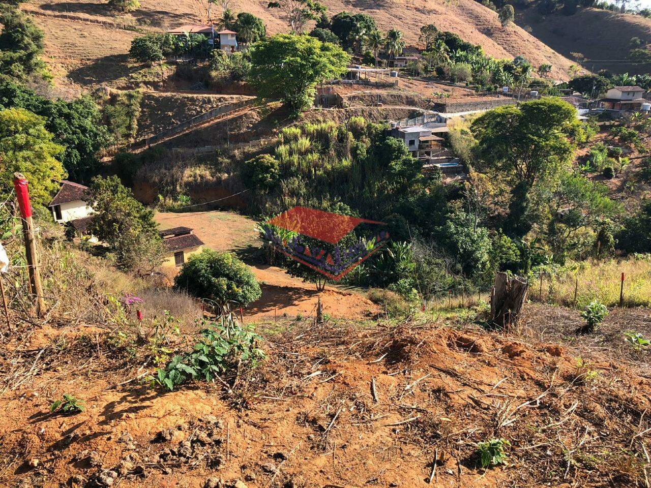 Chácara à venda com 1 quarto, 1000m² - Foto 3