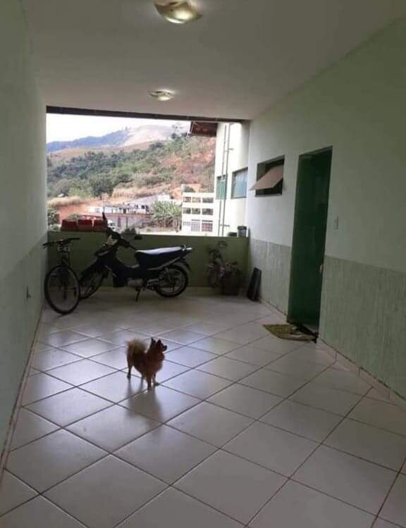 Casa à venda com 3 quartos, 194m² - Foto 11