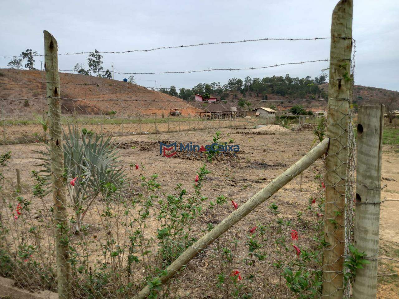 Chácara à venda com 1 quarto, 1600m² - Foto 7