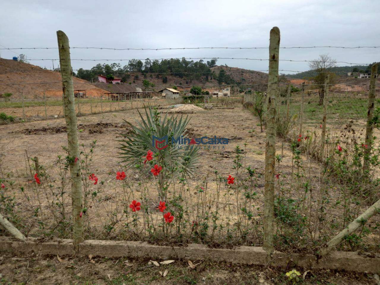 Chácara à venda com 1 quarto, 1600m² - Foto 6