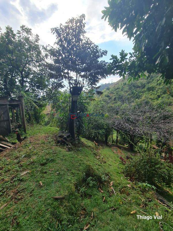 Chácara à venda com 1 quarto, 1500m² - Foto 17