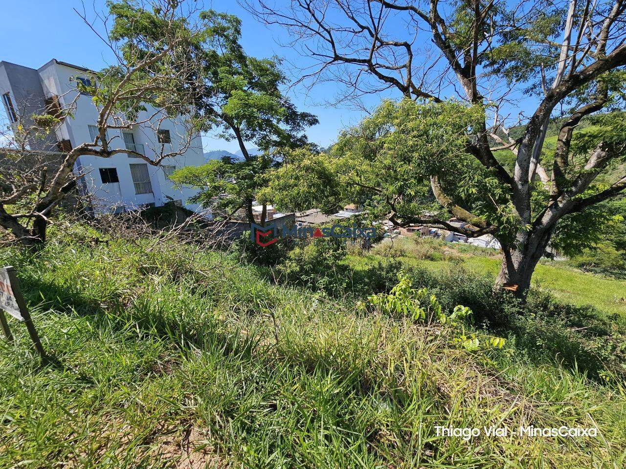 Terreno à venda, 300m² - Foto 4