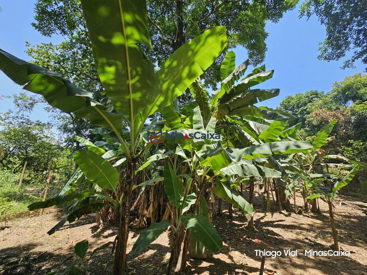 Chácara à venda com 1 quarto, 50m² - Foto 24