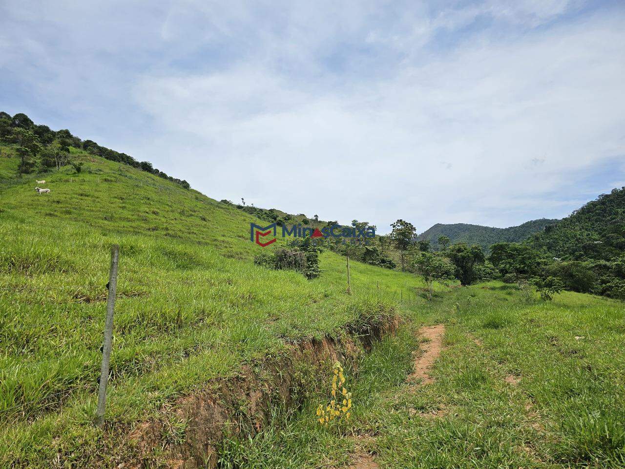 Chácara à venda com 1 quarto, 60m² - Foto 21