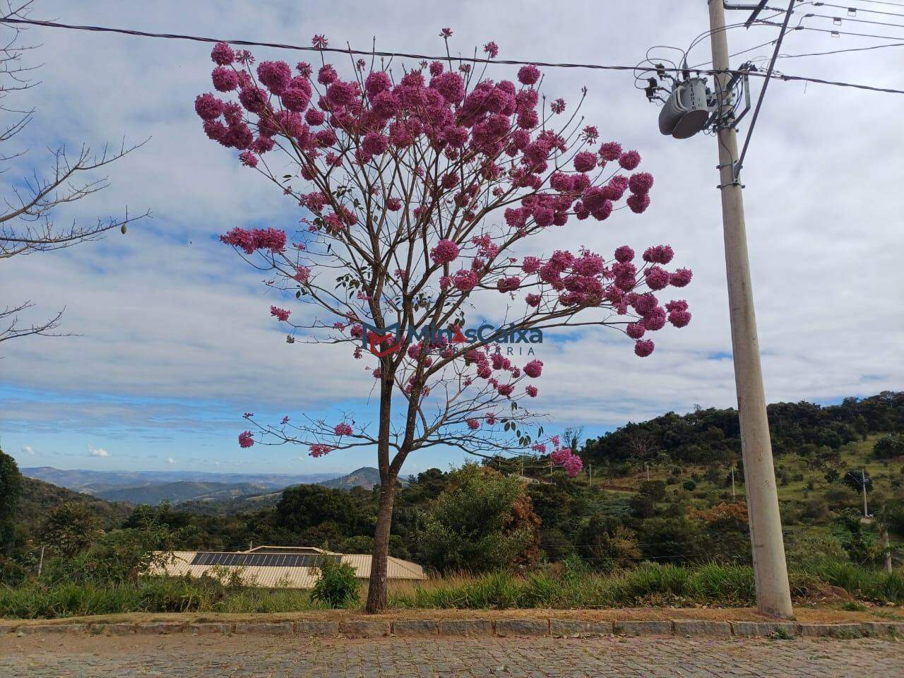 Terreno à venda, 2011m² - Foto 4