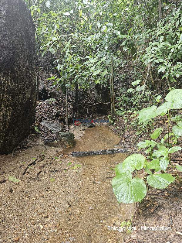 Chácara à venda com 4 quartos, 300m² - Foto 24