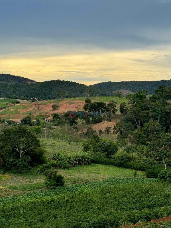 Terreno à venda, 1000m² - Foto 4