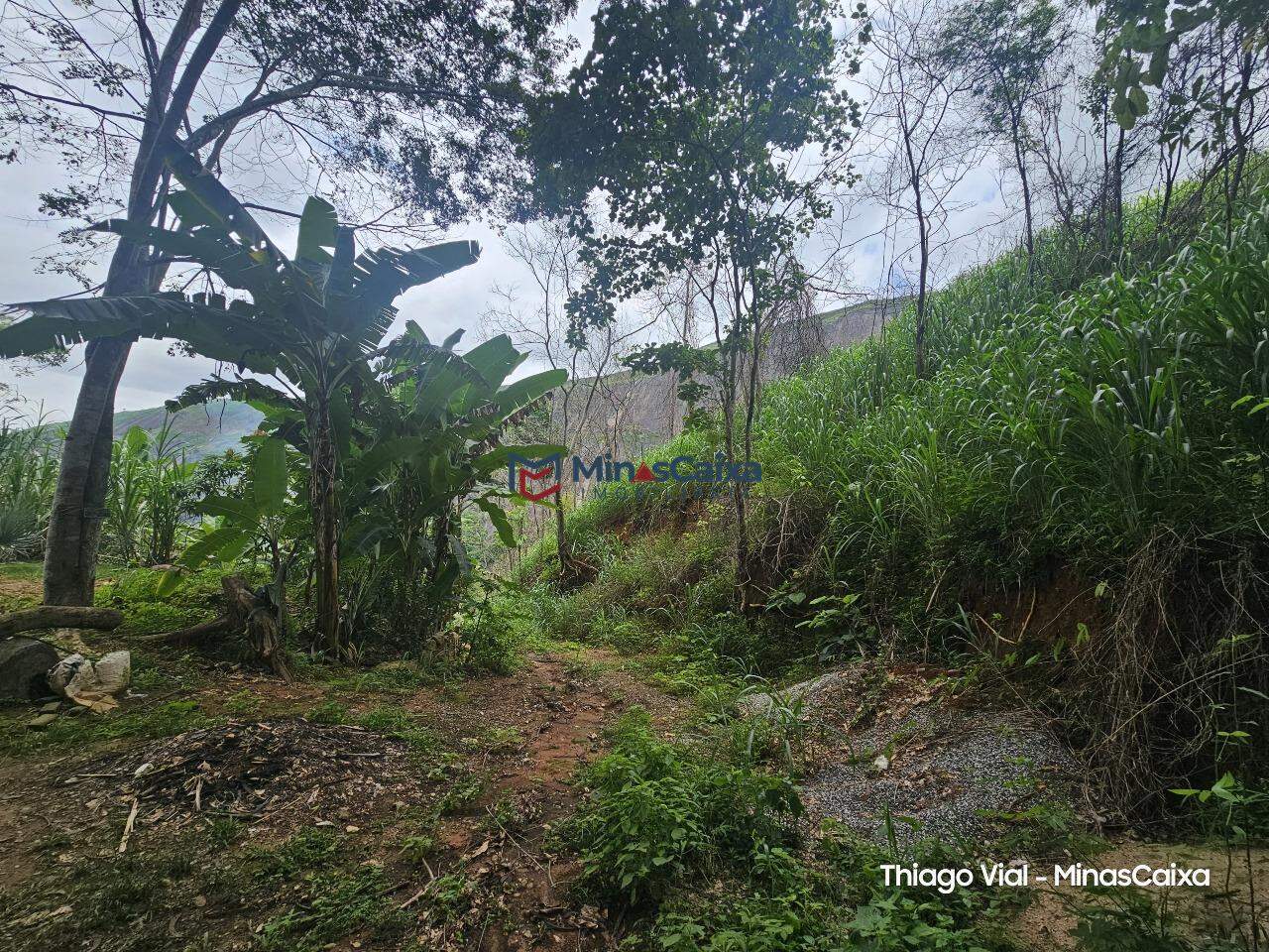 Chácara à venda com 1 quarto, 1000m² - Foto 4