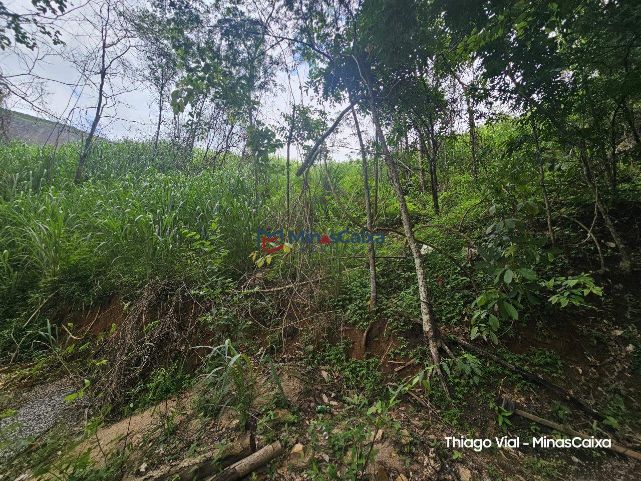 Chácara à venda com 1 quarto, 1000m² - Foto 5