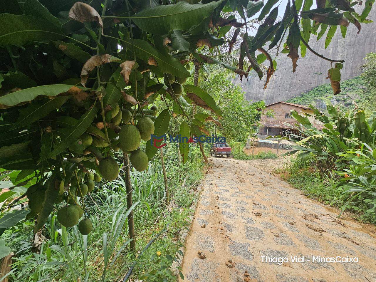 Chácara à venda com 1 quarto, 1000m² - Foto 2