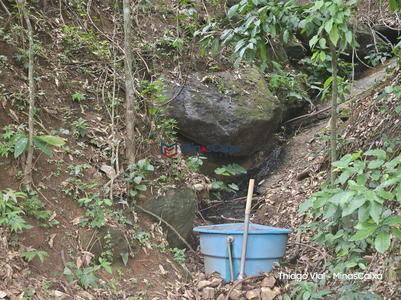 Chácara à venda com 1 quarto, 1000m² - Foto 6