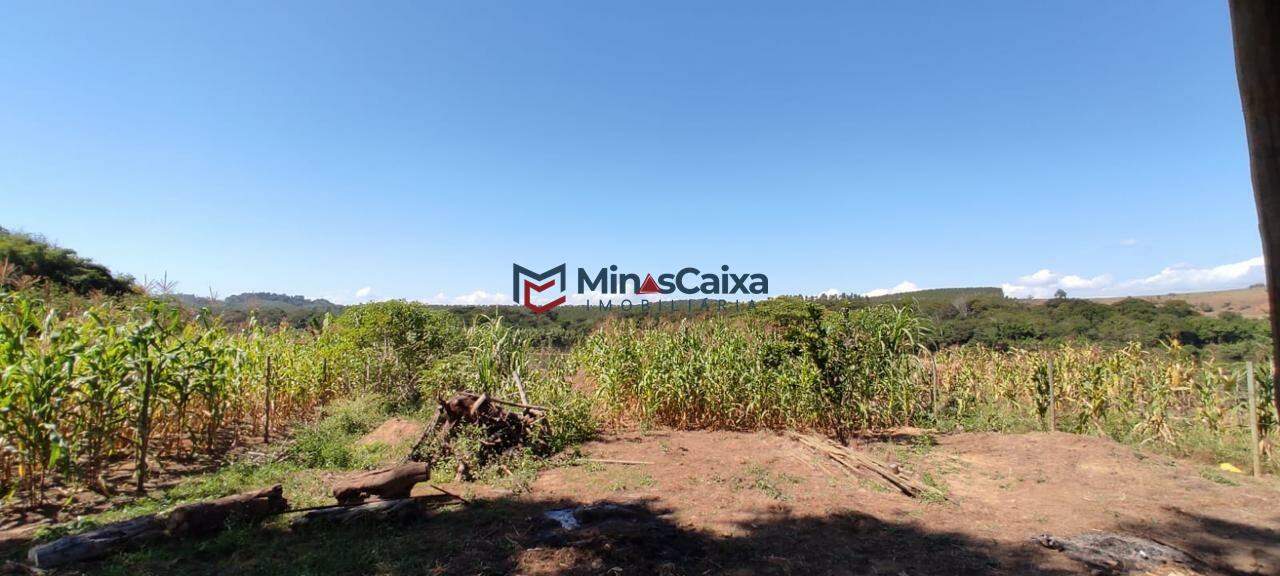 Sítio à venda com 1 quarto, 2000m² - Foto 5
