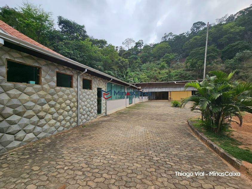 Sítio à venda com 5 quartos, 10000m² - Foto 5