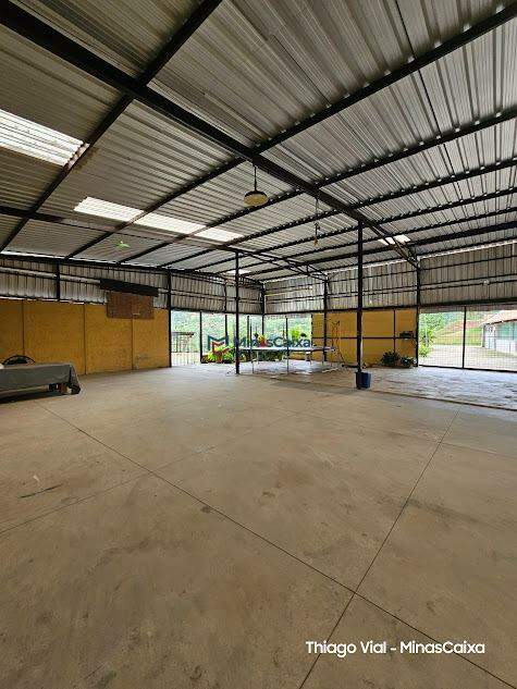 Sítio à venda com 5 quartos, 10000m² - Foto 25