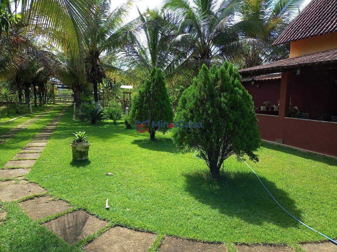 Chácara à venda com 3 quartos, 5000m² - Foto 4