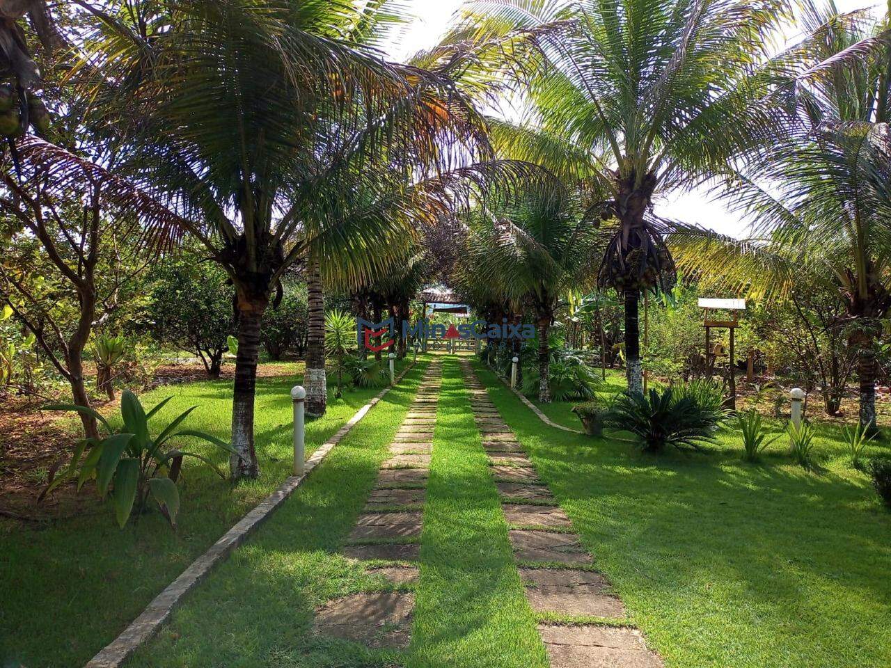 Chácara à venda com 3 quartos, 5000m² - Foto 2