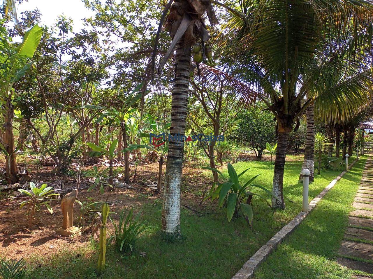 Chácara à venda com 3 quartos, 5000m² - Foto 3