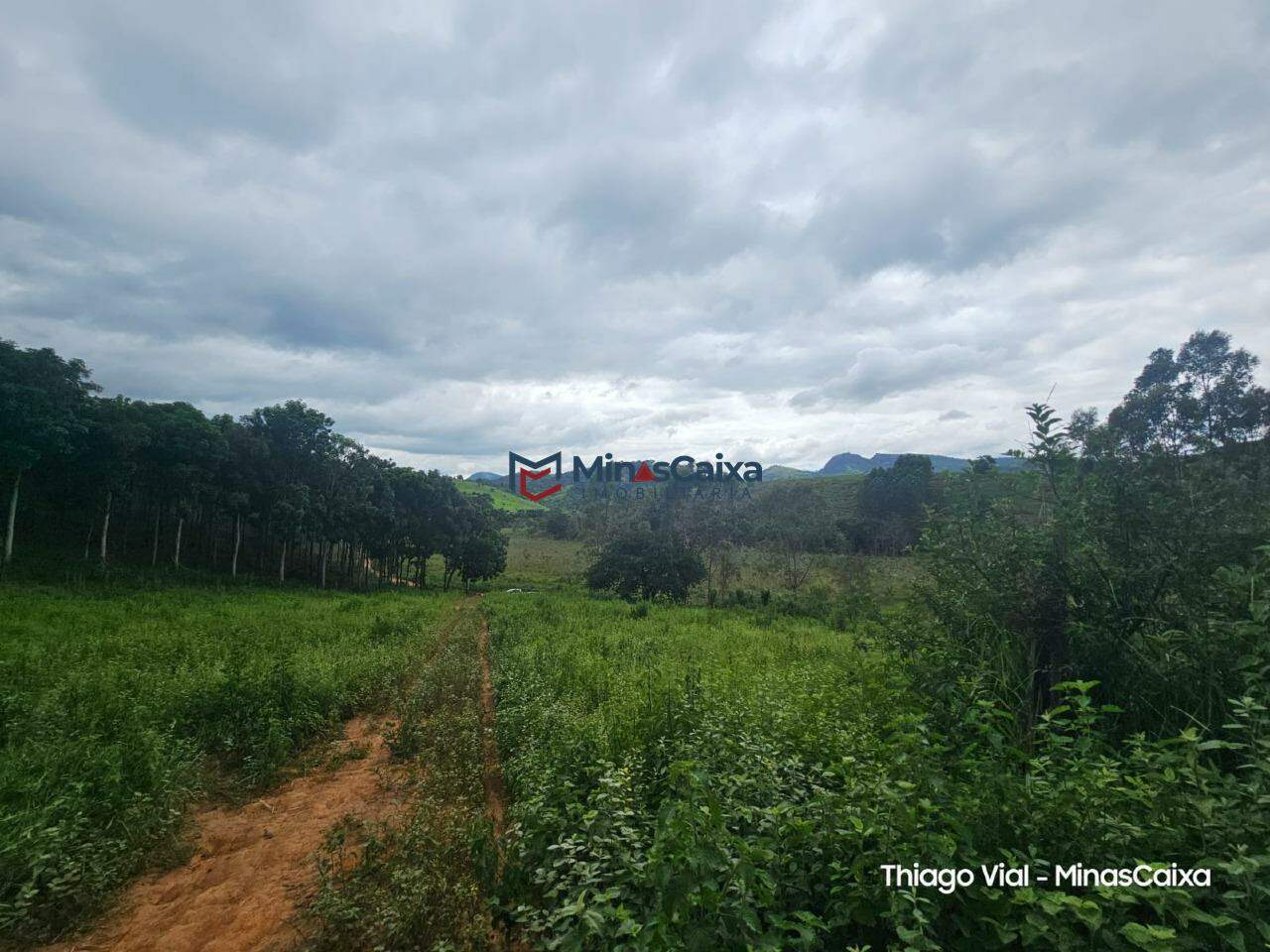 Terreno à venda, 2373m² - Foto 5