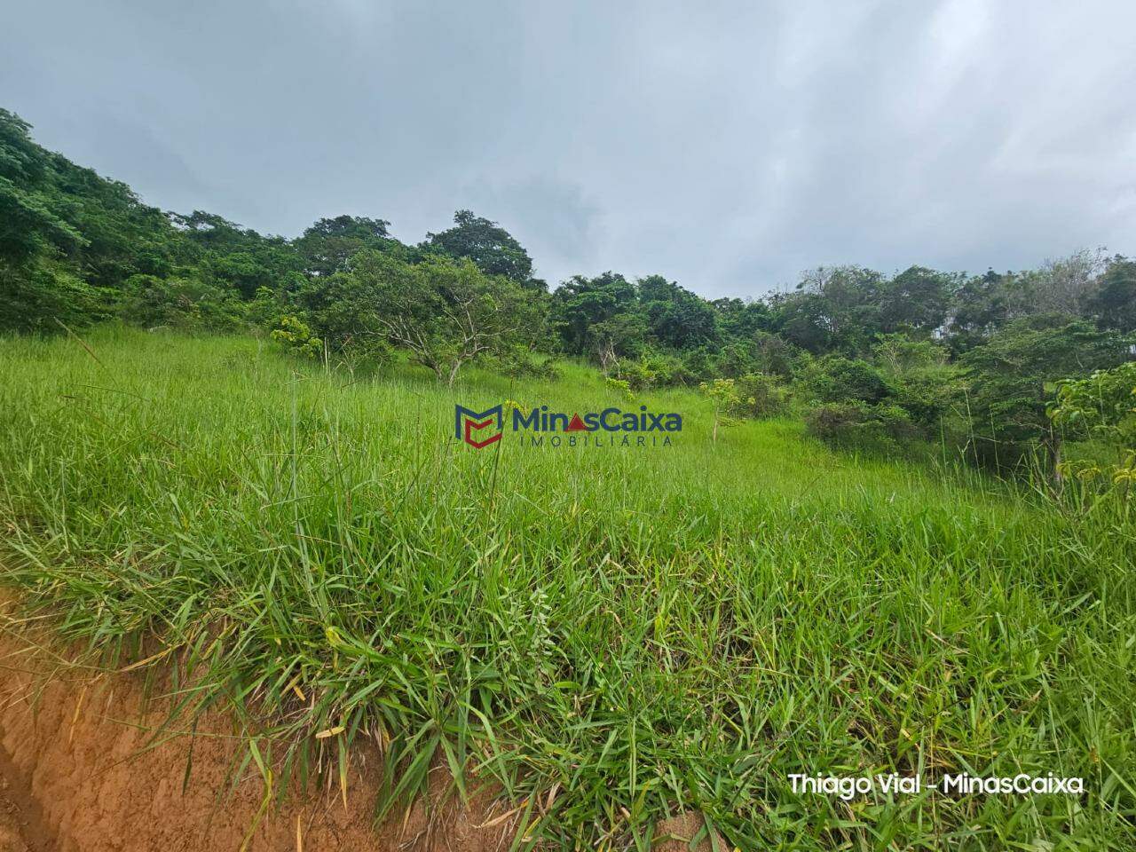 Terreno à venda, 2373m² - Foto 4