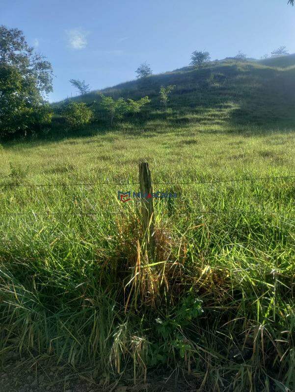 Terreno à venda, 101m² - Foto 5