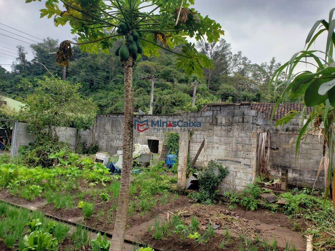 Terreno à venda, 50m² - Foto 5