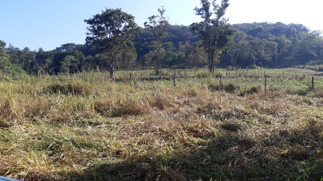 Fazenda à venda no Moro Agudo: 