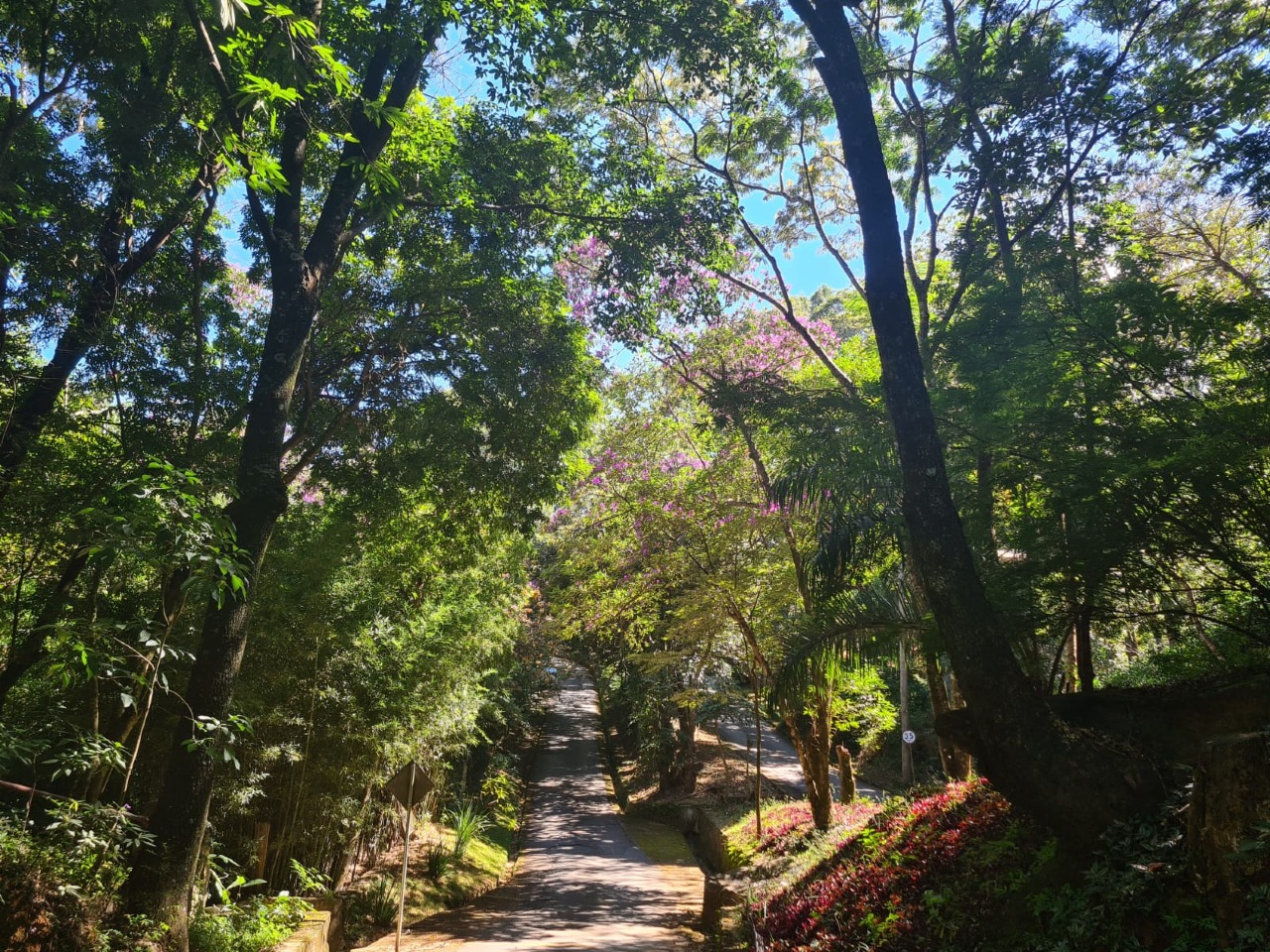 Lote em condomínio à venda no Retiro do Chalé (Piedade do Paraopeba): 
