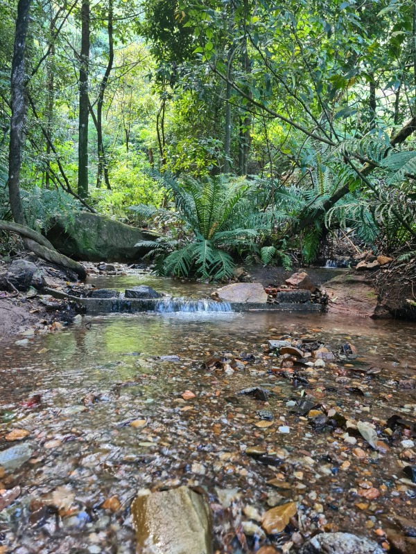 Lote em condomínio à venda no Retiro do Chalé (Piedade do Paraopeba): 