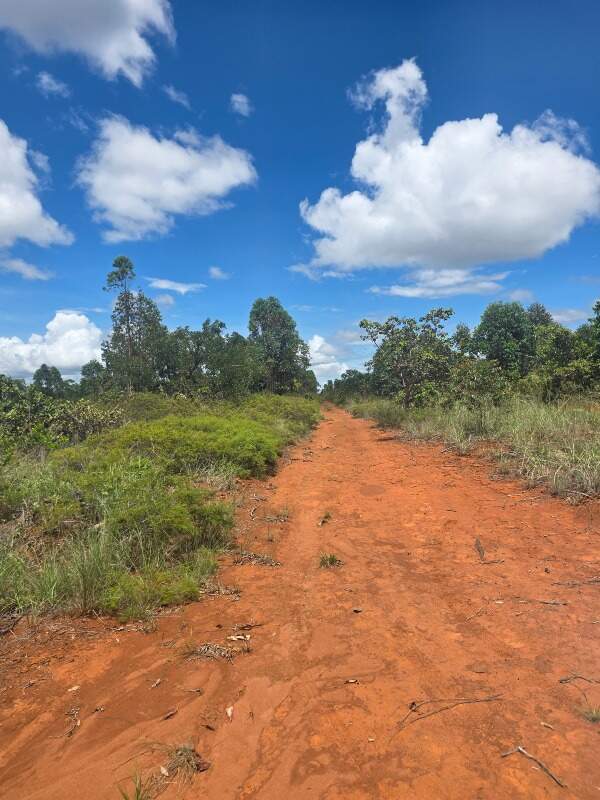 Fazenda à venda no Zona Rural: 