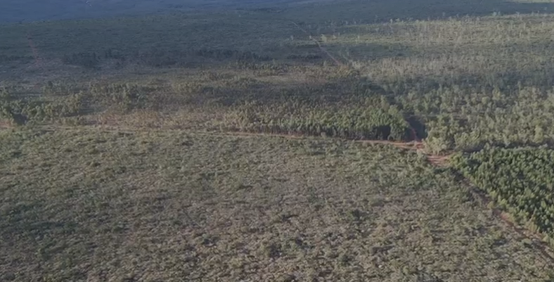 Fazenda à venda no Zona Rural: 