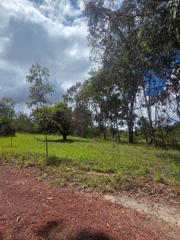 Fazenda à venda no Zona Rural: 
