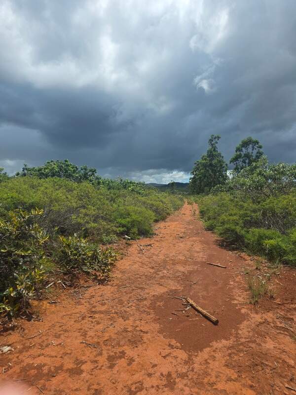 Fazenda à venda no Zona Rural: 