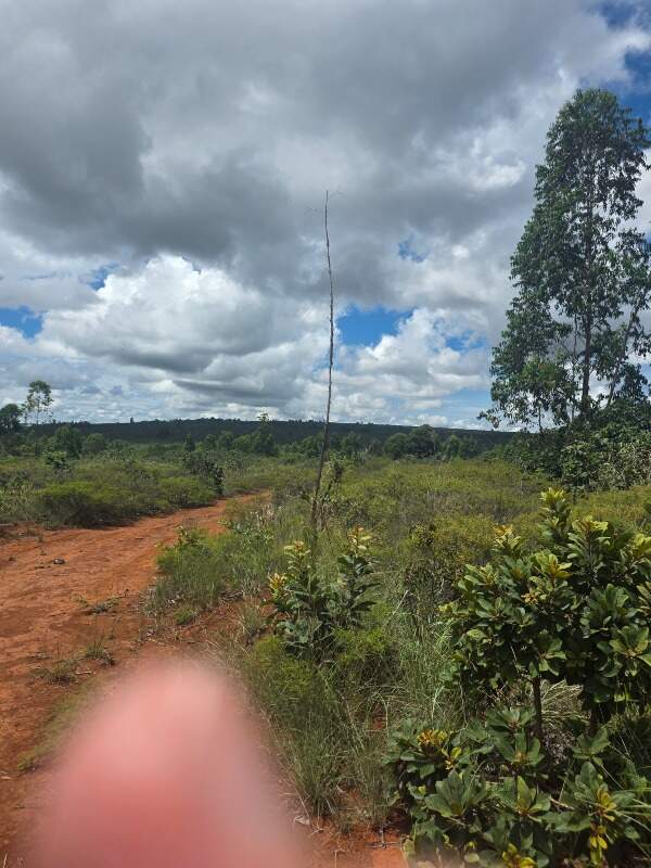 Fazenda à venda no Zona Rural: 